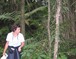 stukje regenwoud in Wanganui